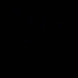 Meet your Posher, Brady